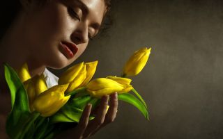 Можно ли дарить желтые цветы