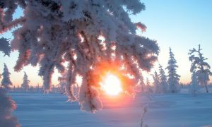 Праздник Зимнее Солнцестояние — традиции, приметы, обряды и заговоры