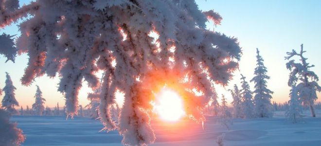 Праздник Зимнее Солнцестояние — традиции, приметы, обряды и заговоры
