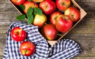 Яблочный спас, Второй, Великий – традиции, приметы
